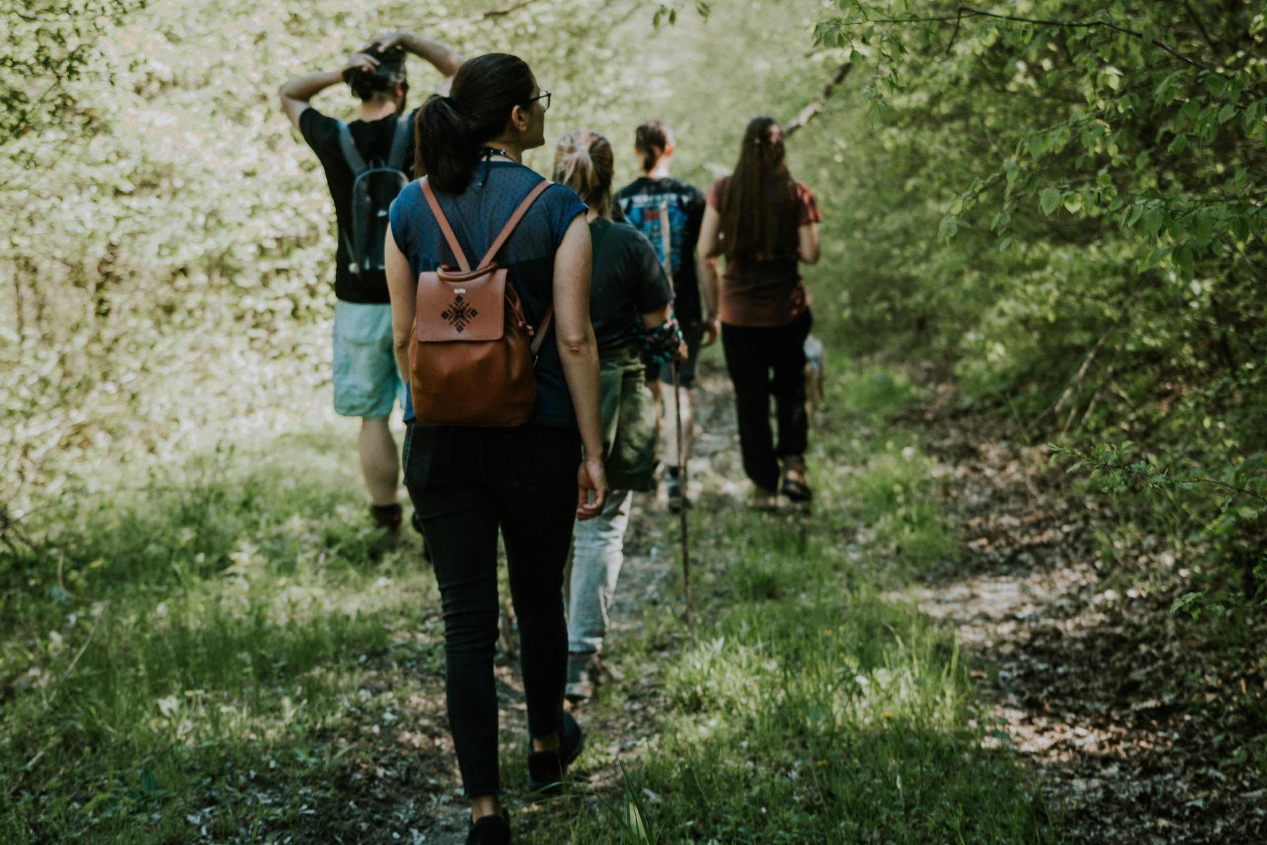 friends-hiking-in-the-forest-near-a-mountain-2026-03-17-21-32-27-utc